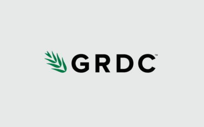 How Sprout helps GRDC increase engagement with multiple generations of Australia’s grain farmers